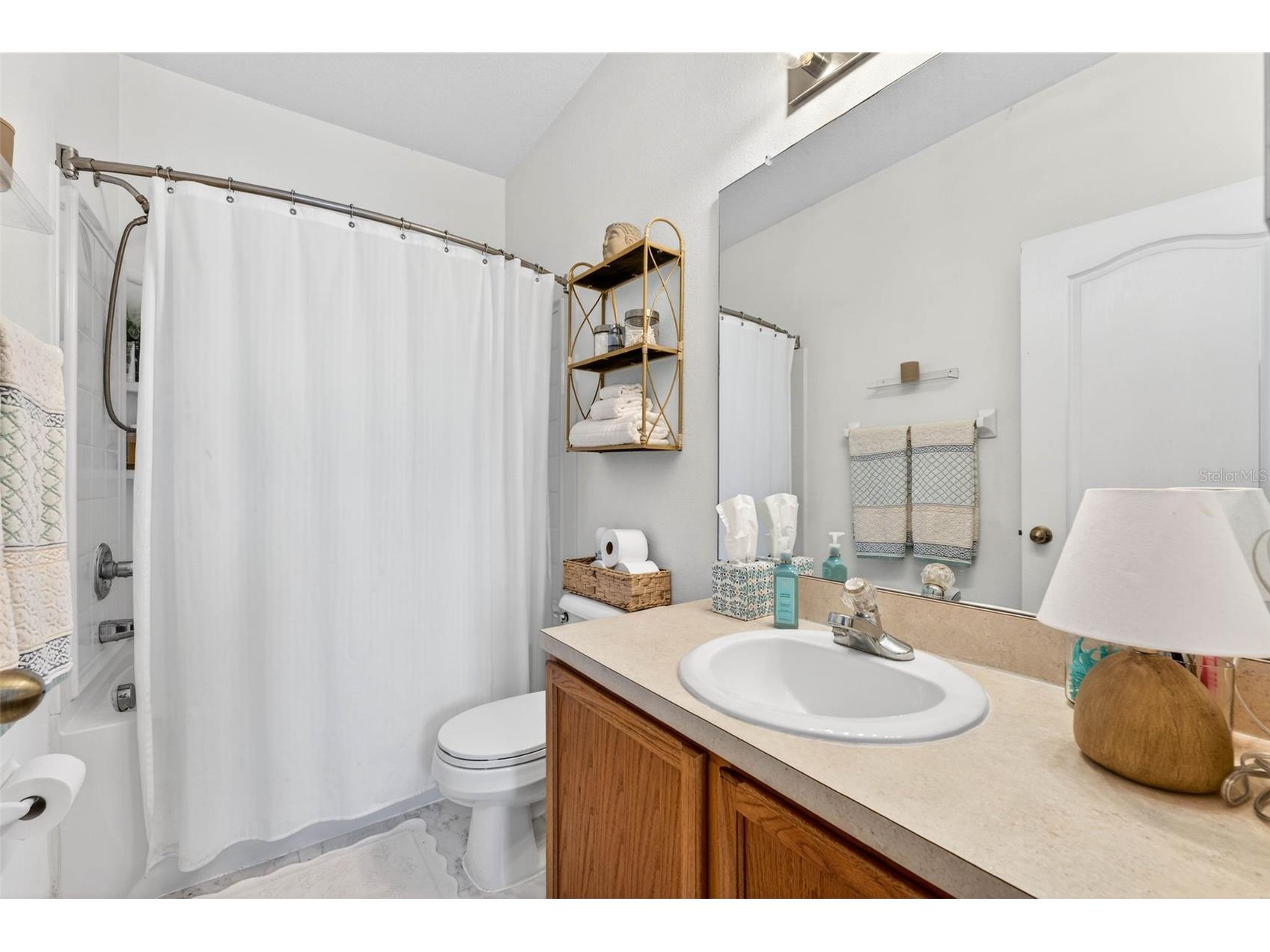 12256 Foxmoor Peak Drive Riverview FL 33579 TB8487990 image31
