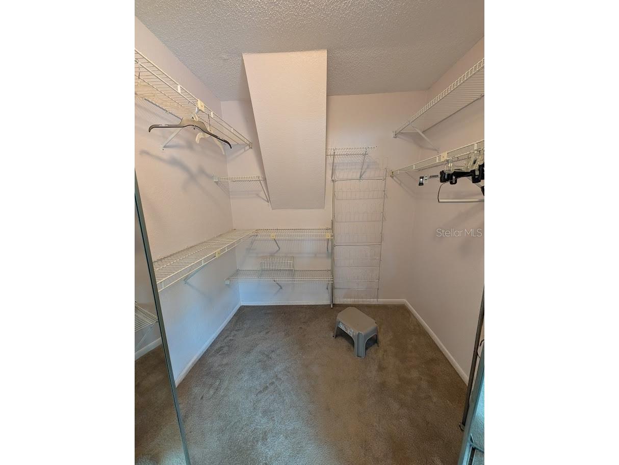 12258 92nd Street Largo FL 33773 TB8496646 image51