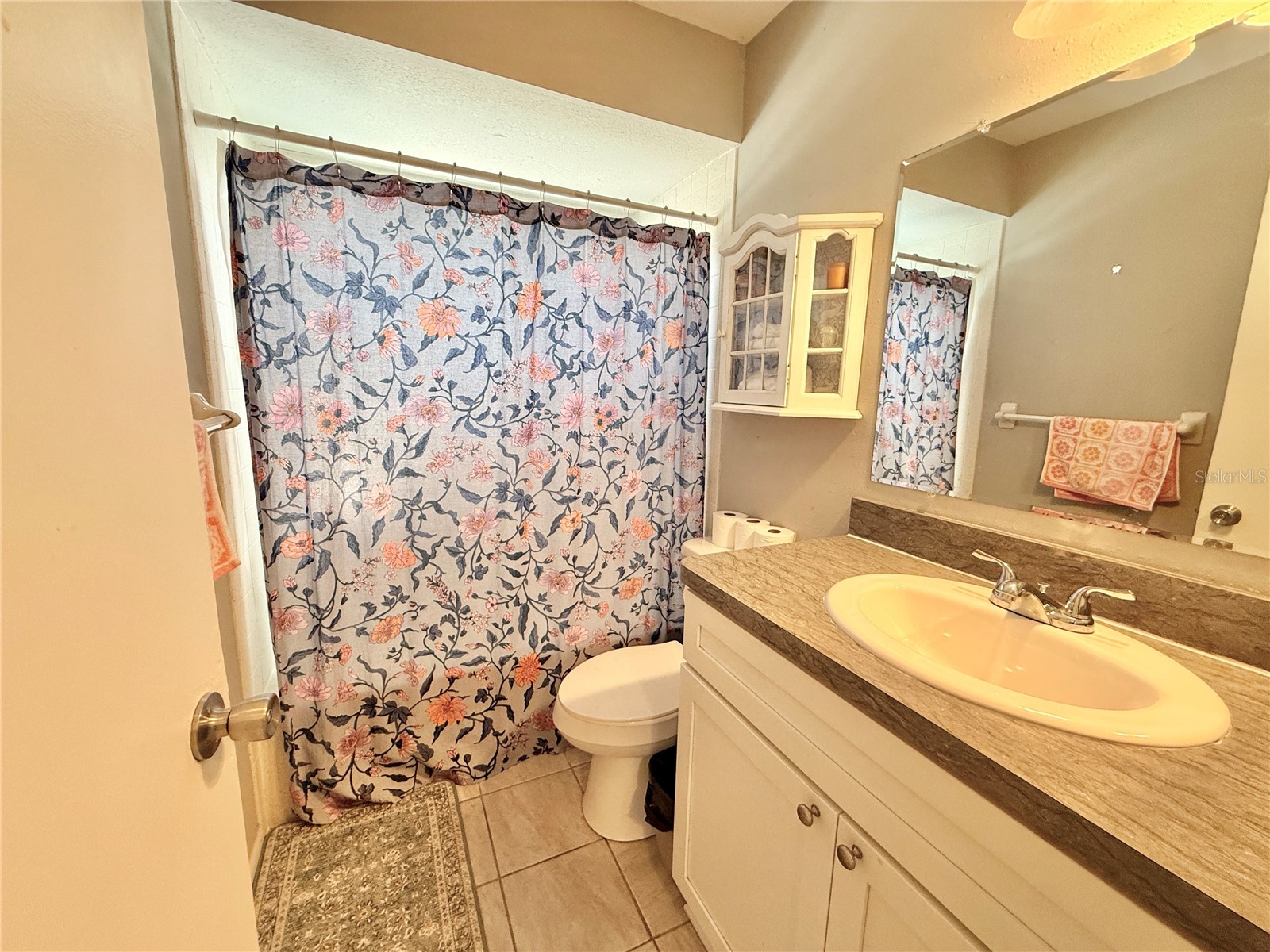 12258 Foothill Street Spring Hill FL 34609 O6391667 image8