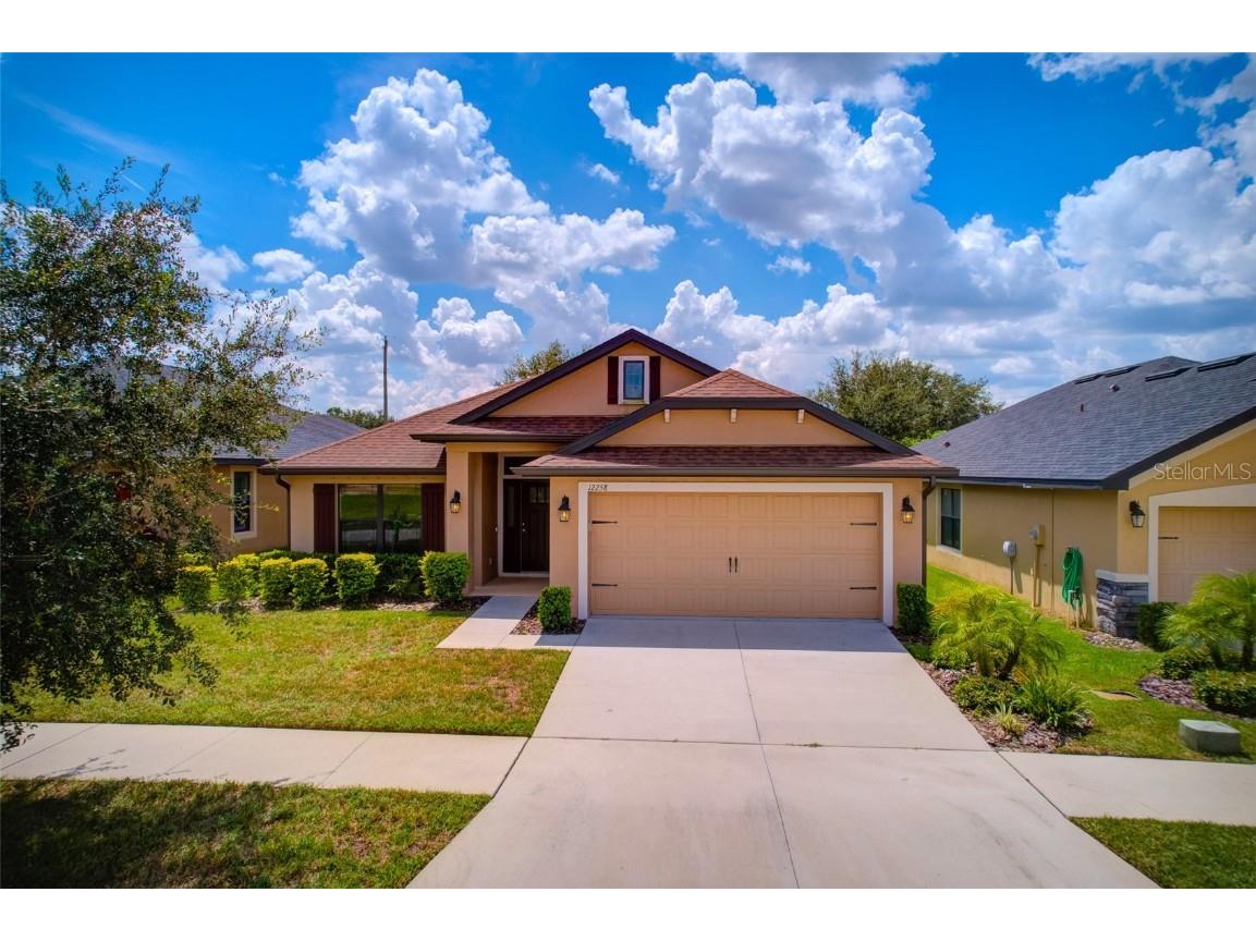 12258 Legacy Bright Street Riverview FL 33578 T3526841 image1