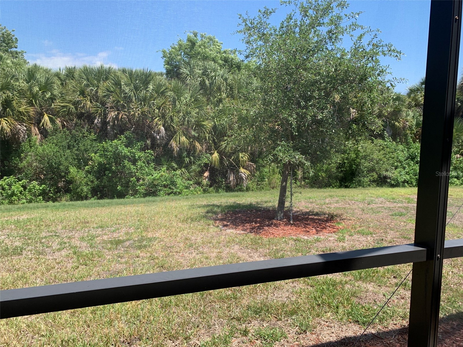 12259 Amica Loop Venice FL 34293 D6147433 image23