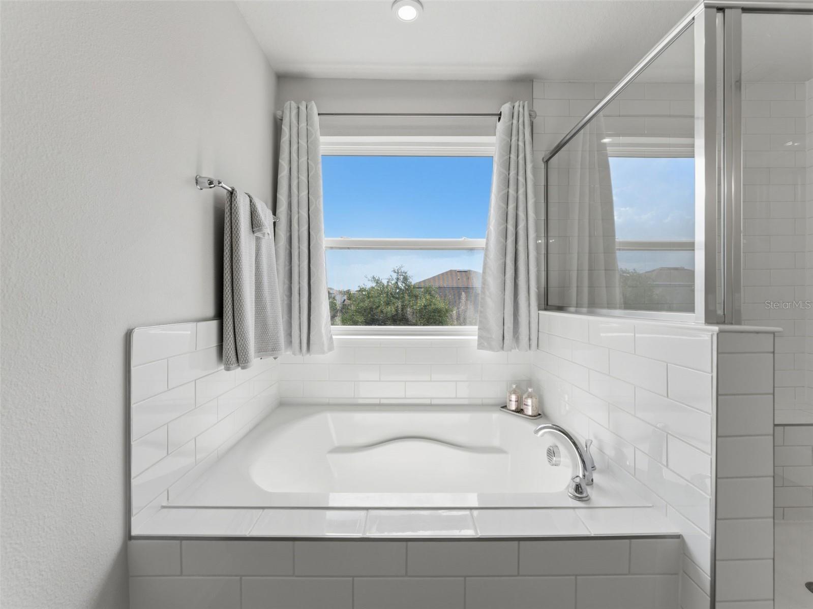 12259 Blue Pacific Drive Riverview FL 33579 A4693119 image17