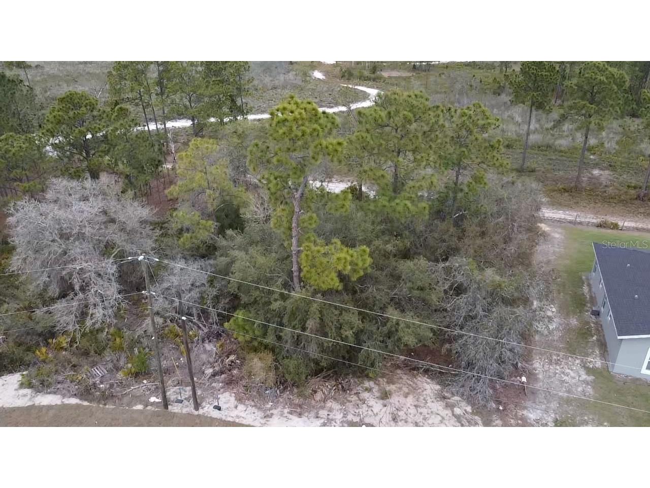 1226 Apopka Lane Kissimmee FL 34759 O6391841 image2