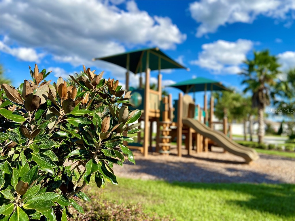 1226 Augustus Drive Davenport FL 33896 O6349244 image33