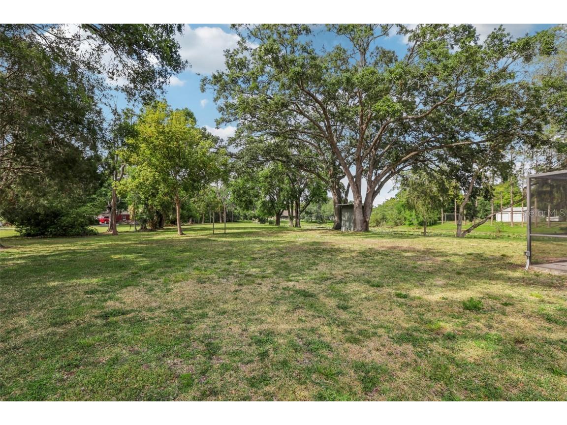 1226 Debuel Road Lutz FL 33549 TB8377307 image33