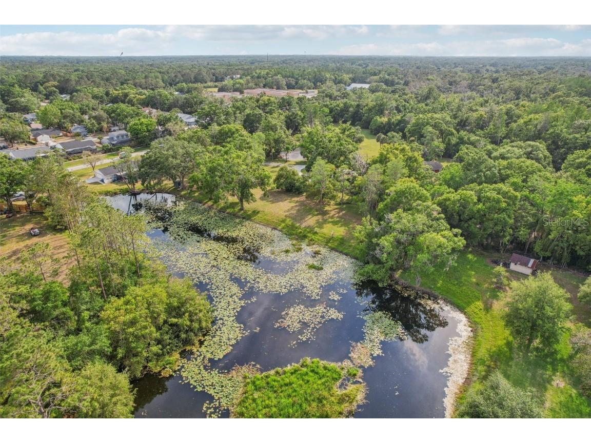 1226 Debuel Road Lutz FL 33549 TB8377307 image39