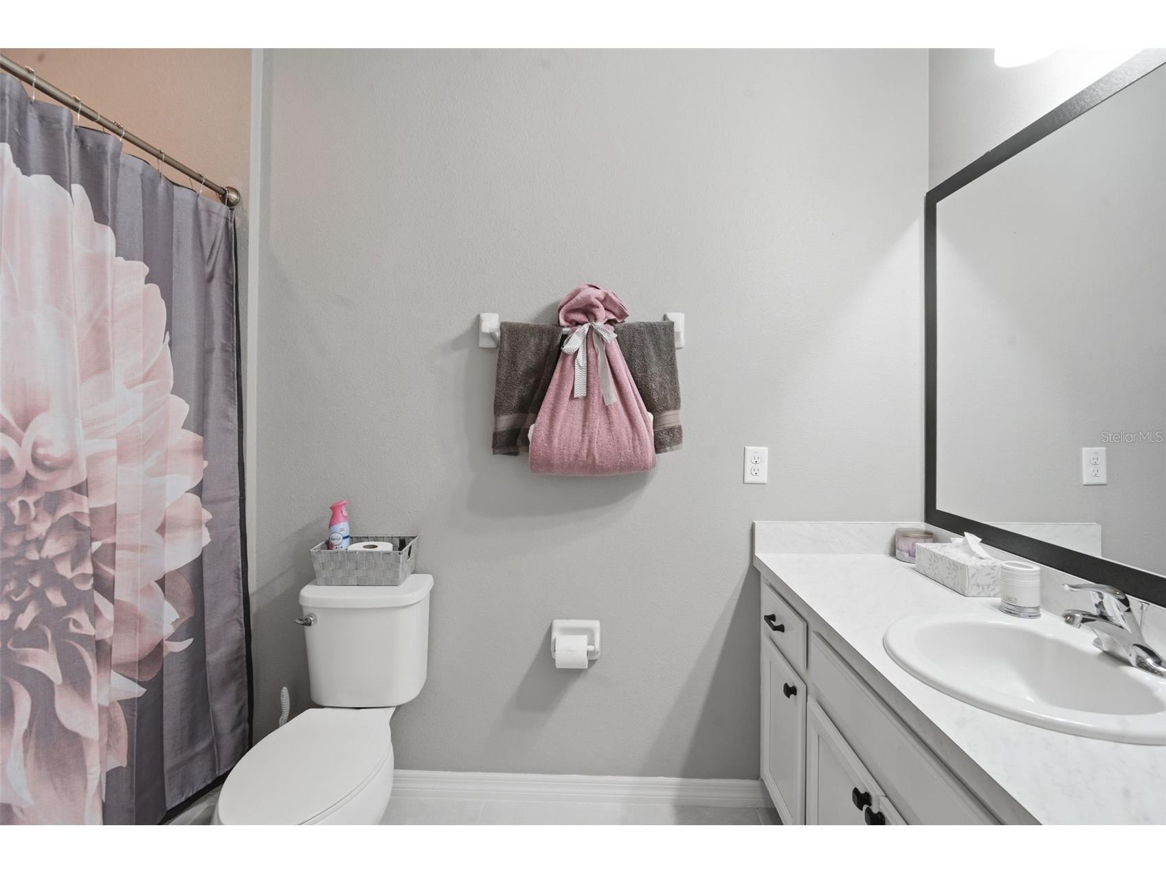 1226 E 10th Street Apopka FL 32703 O6398605 image27