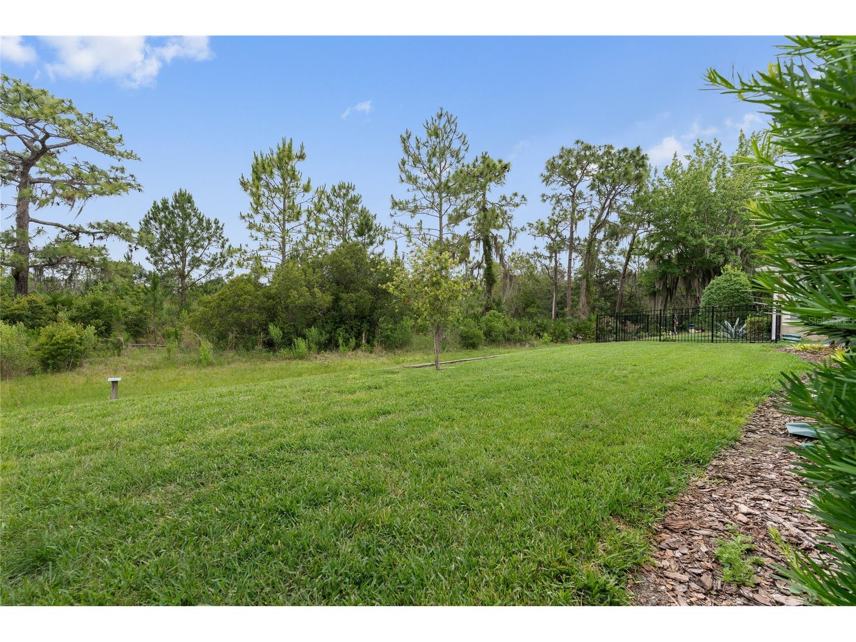 1226 Heron Point Way Deland FL 32724 V4949080 image31