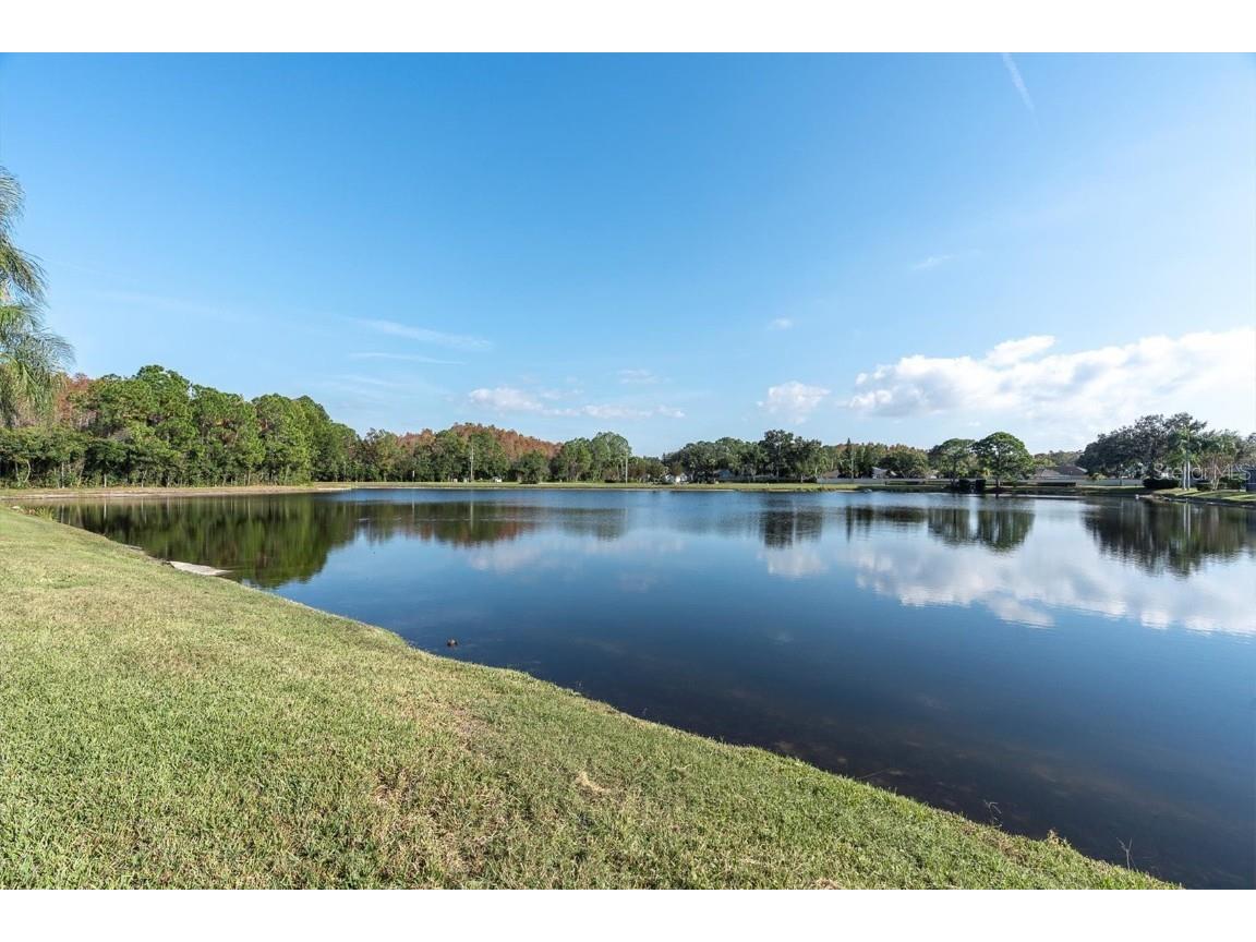 1226 Hoversham Drive New Port Richey FL 34655 TB8451469 image5