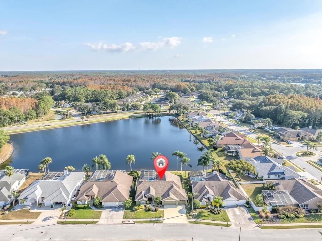 1226 Hoversham Drive New Port Richey FL 34655 TB8451469 image6