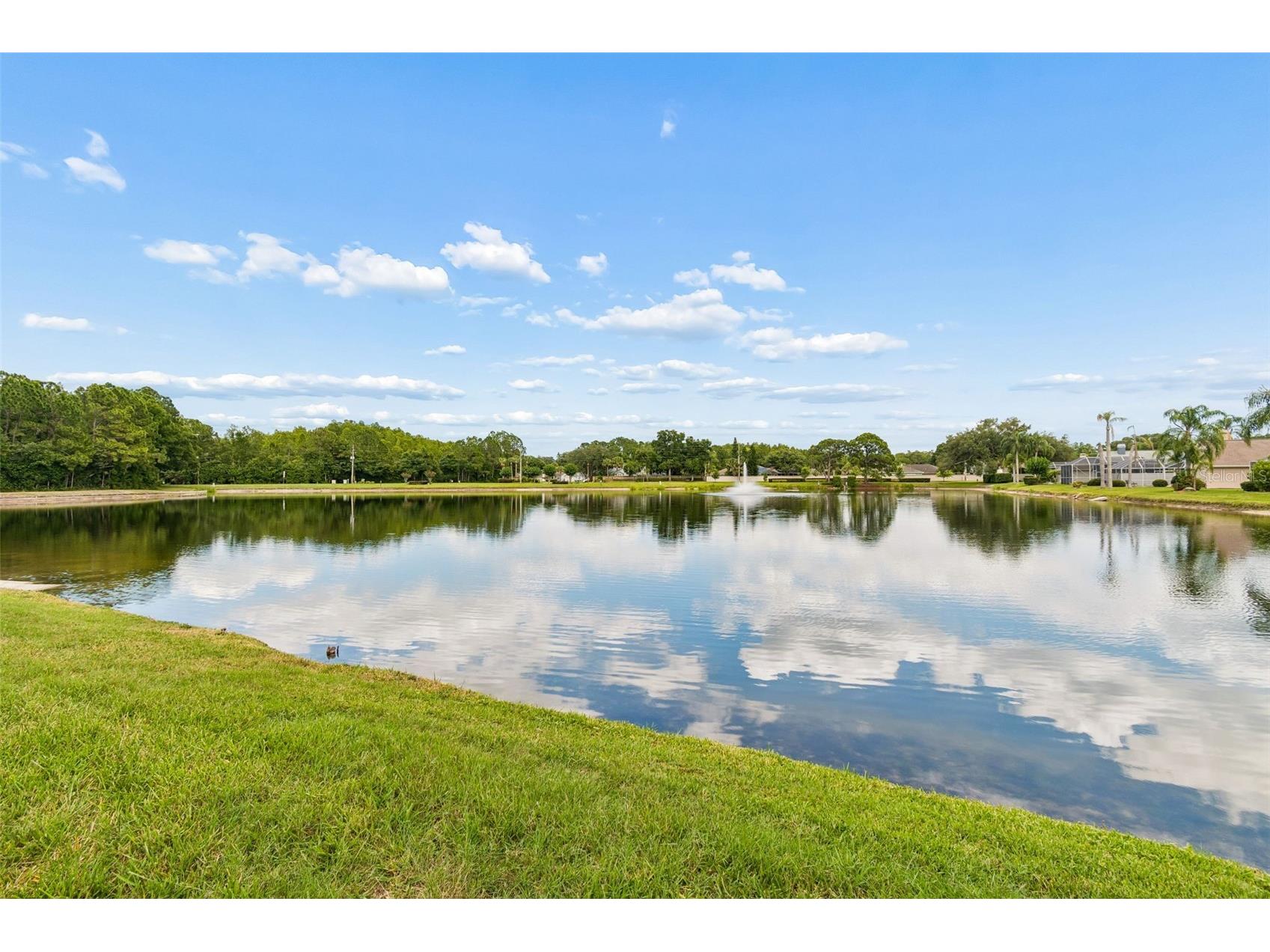 1226 Hoversham Drive New Port Richey FL 34655 W7886353 image7