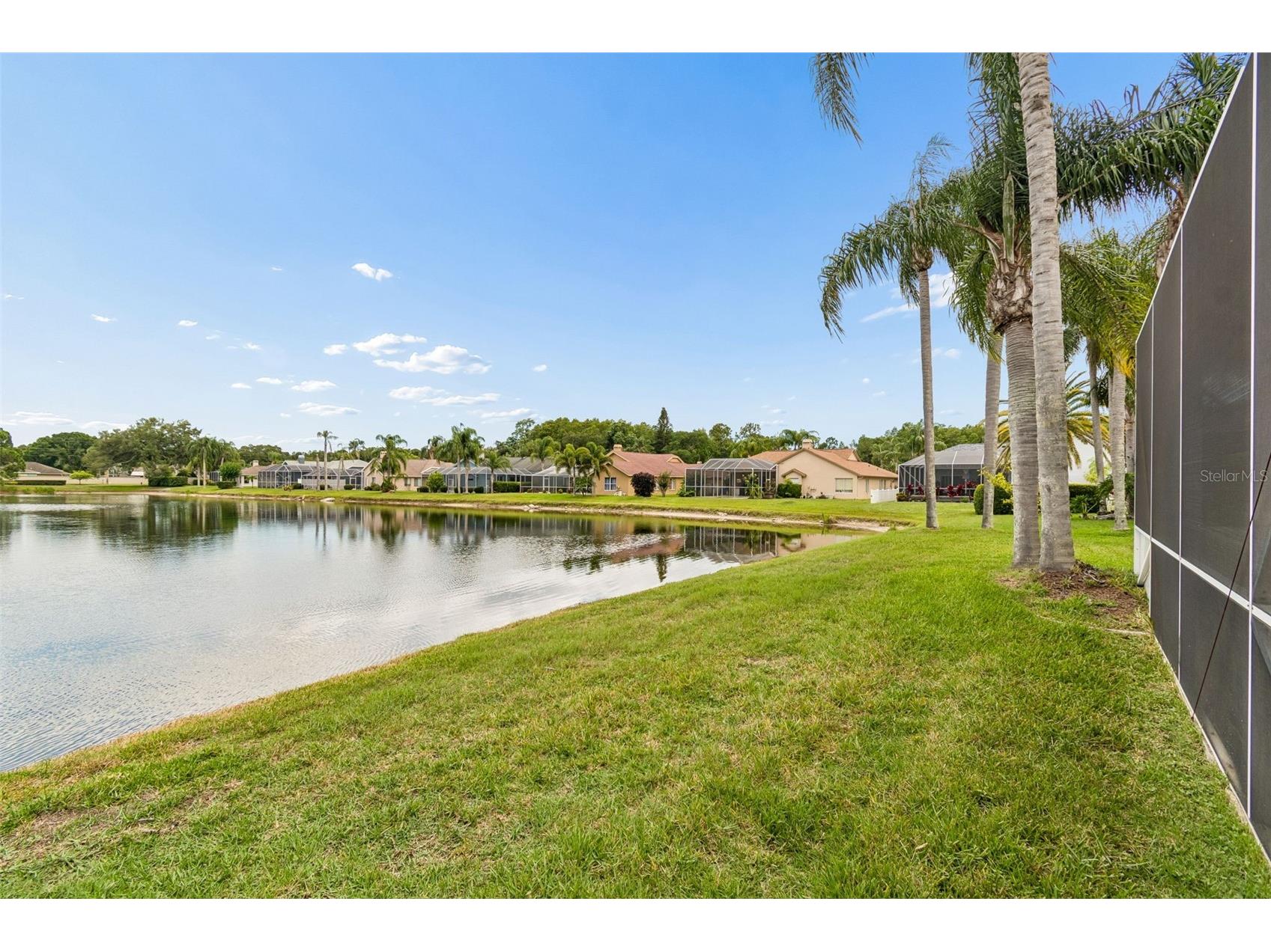 1226 Hoversham Drive New Port Richey FL 34655 W7886353 image77