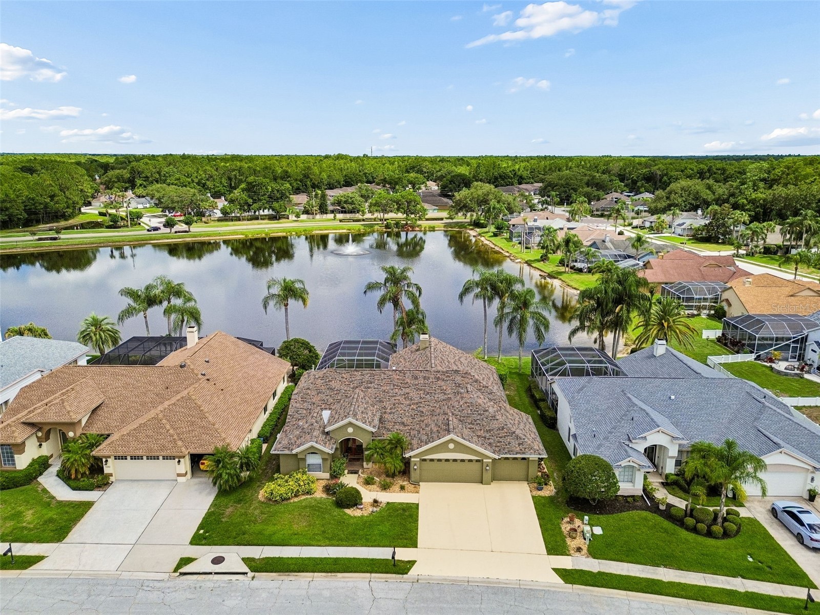 1226 Hoversham Drive New Port Richey FL 34655 W7886353 image83