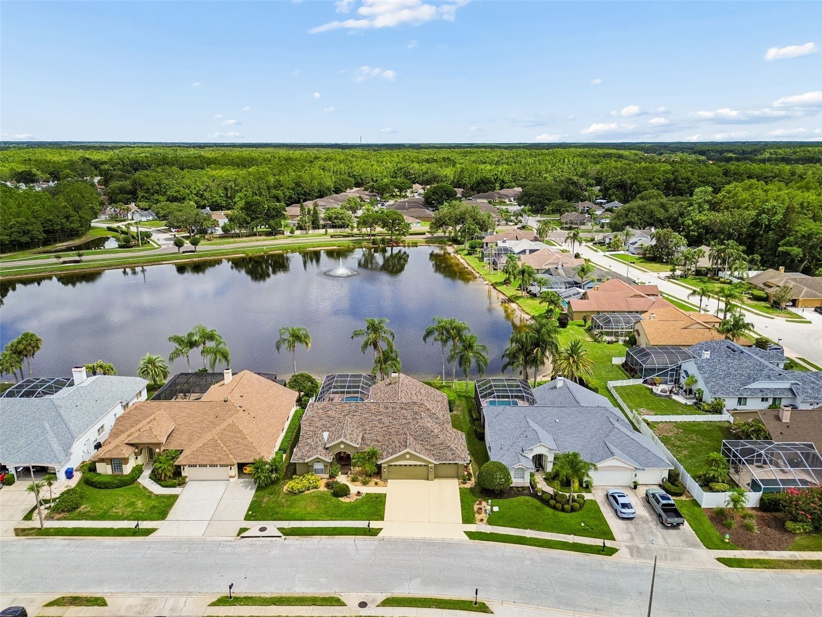 1226 Hoversham Drive New Port Richey FL 34655 W7886353 image86