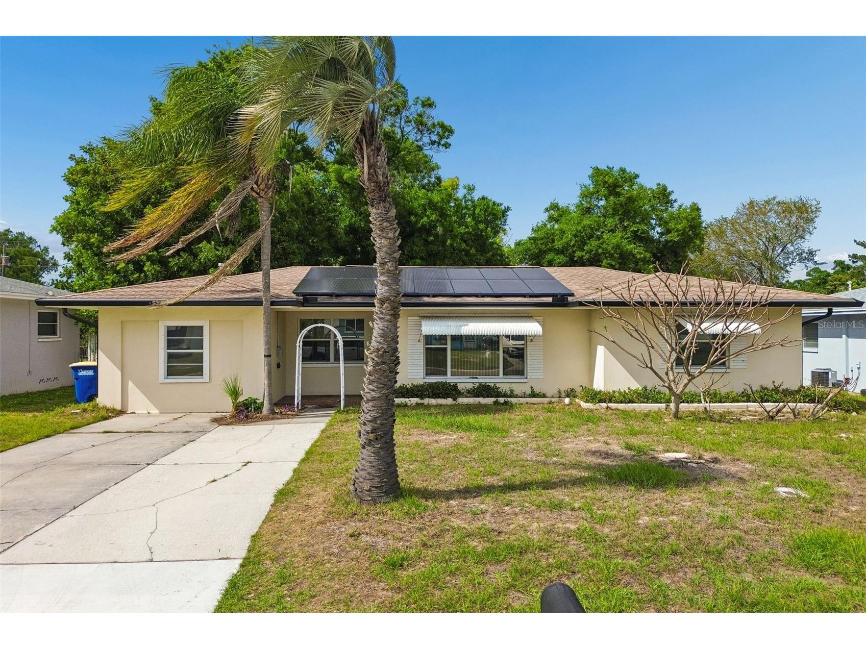 1226 Magnolia Drive Clearwater FL 33756 TB8496324 image2
