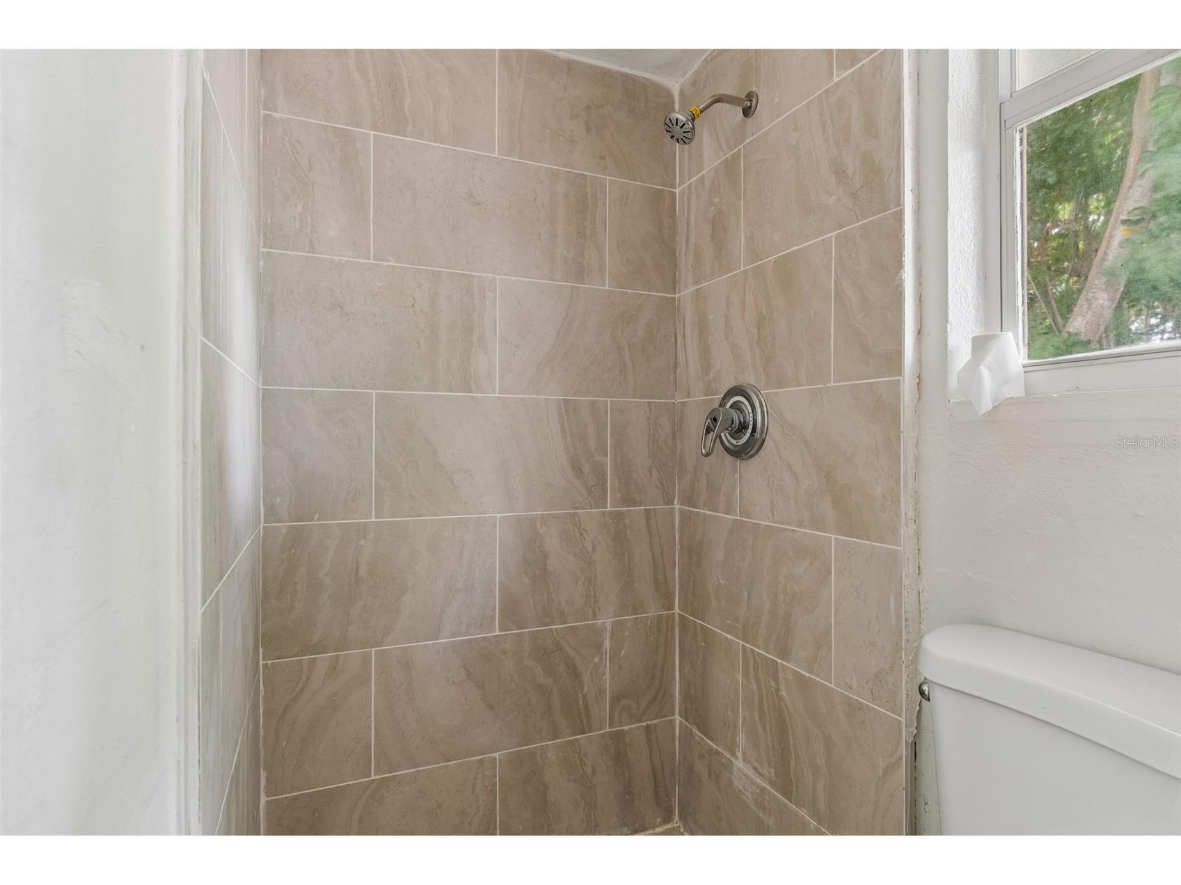 1226 Magnolia Drive Clearwater FL 33756 TB8496324 image30