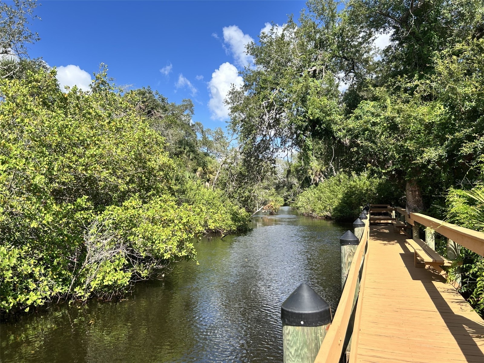 1226 Pine Needle Road Venice FL 34285 N6144696 image49
