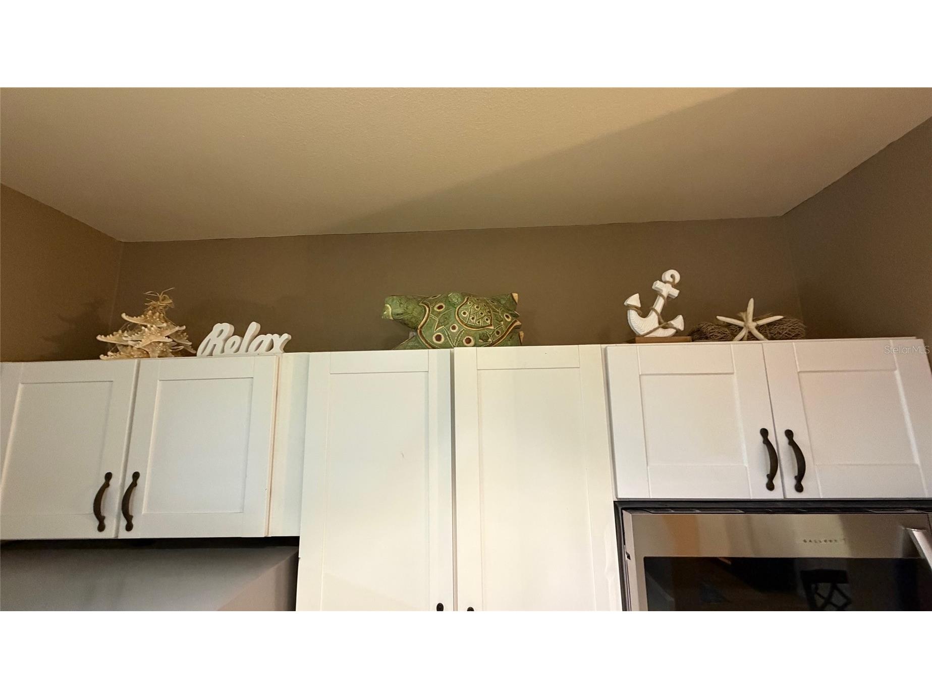 1226 S Missouri Avenue #1019 Clearwater FL 33756 TB8505144 image27