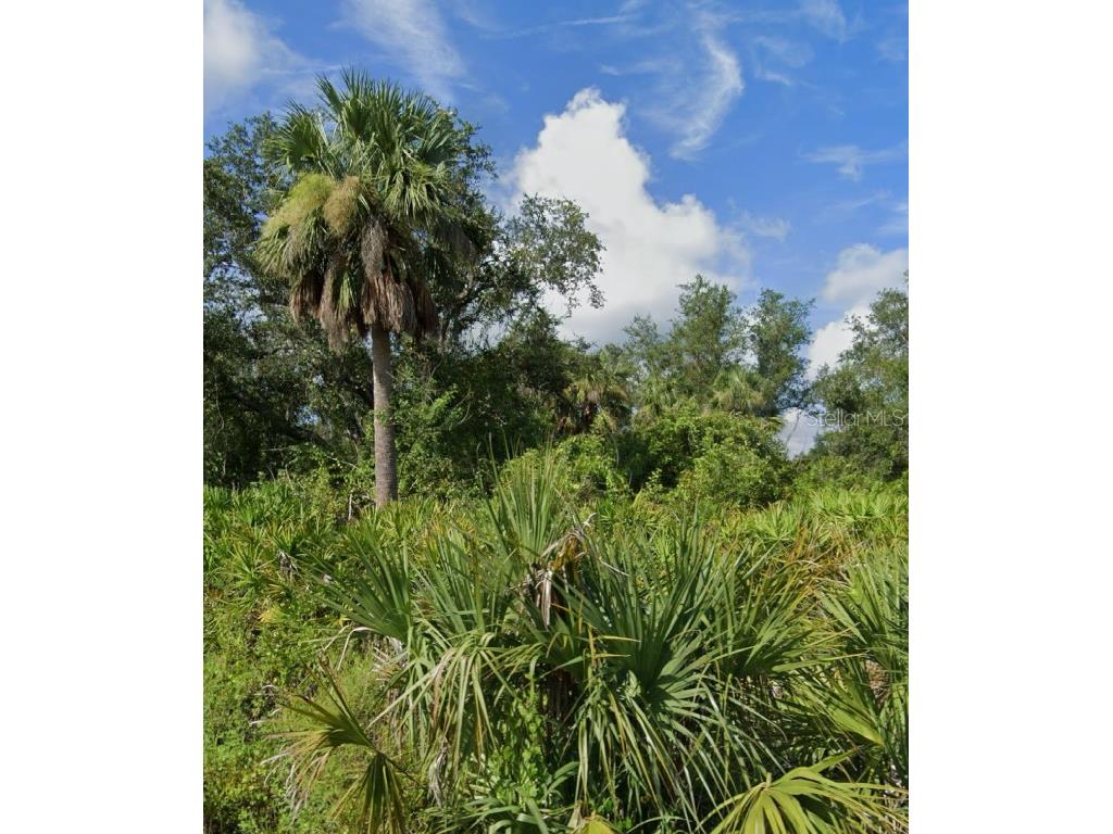 1226 Sulstone Drive Punta Gorda FL 33983 C7510432 image4