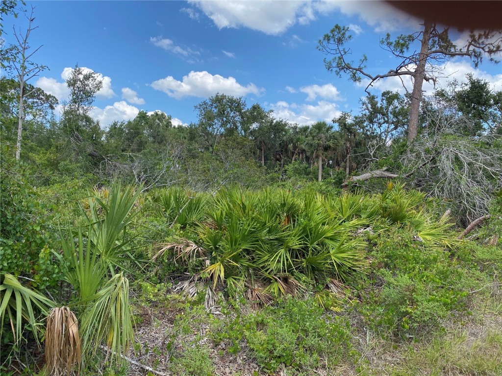 1226 Tyrone Street Port Charlotte FL 33952 A4572023 image1