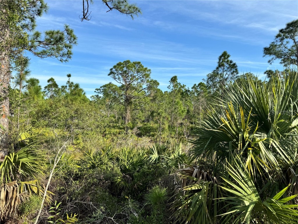 12260 Escuela Drive Punta Gorda FL 33955 A4595965 image1