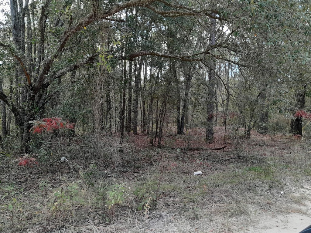 12260 NE 83rd Lane Bronson FL 32621 OM667847 image1