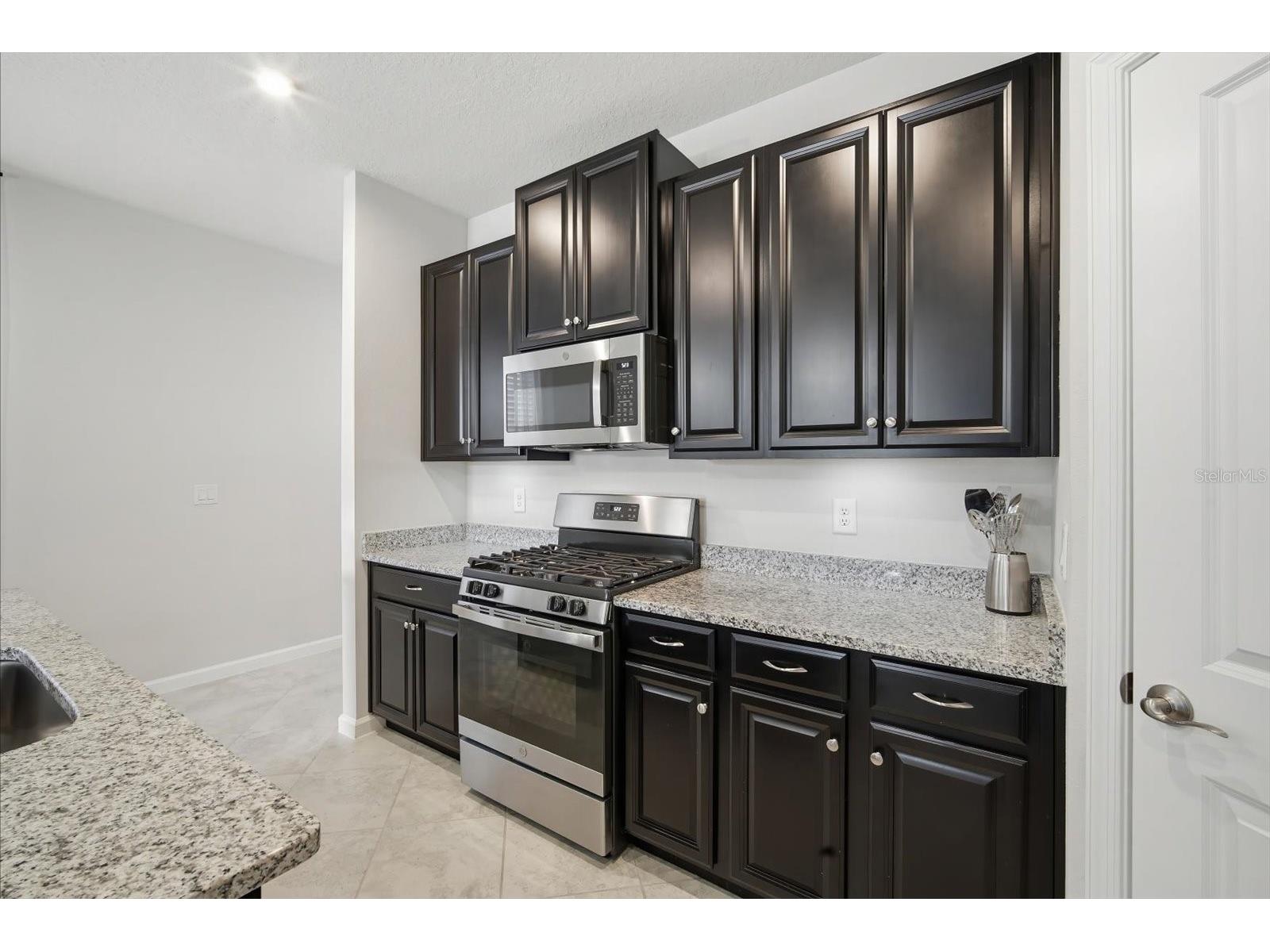 12261 Blue Pacific Drive Riverview FL 33579 - LAKE LUCAYA TB8513601 image25