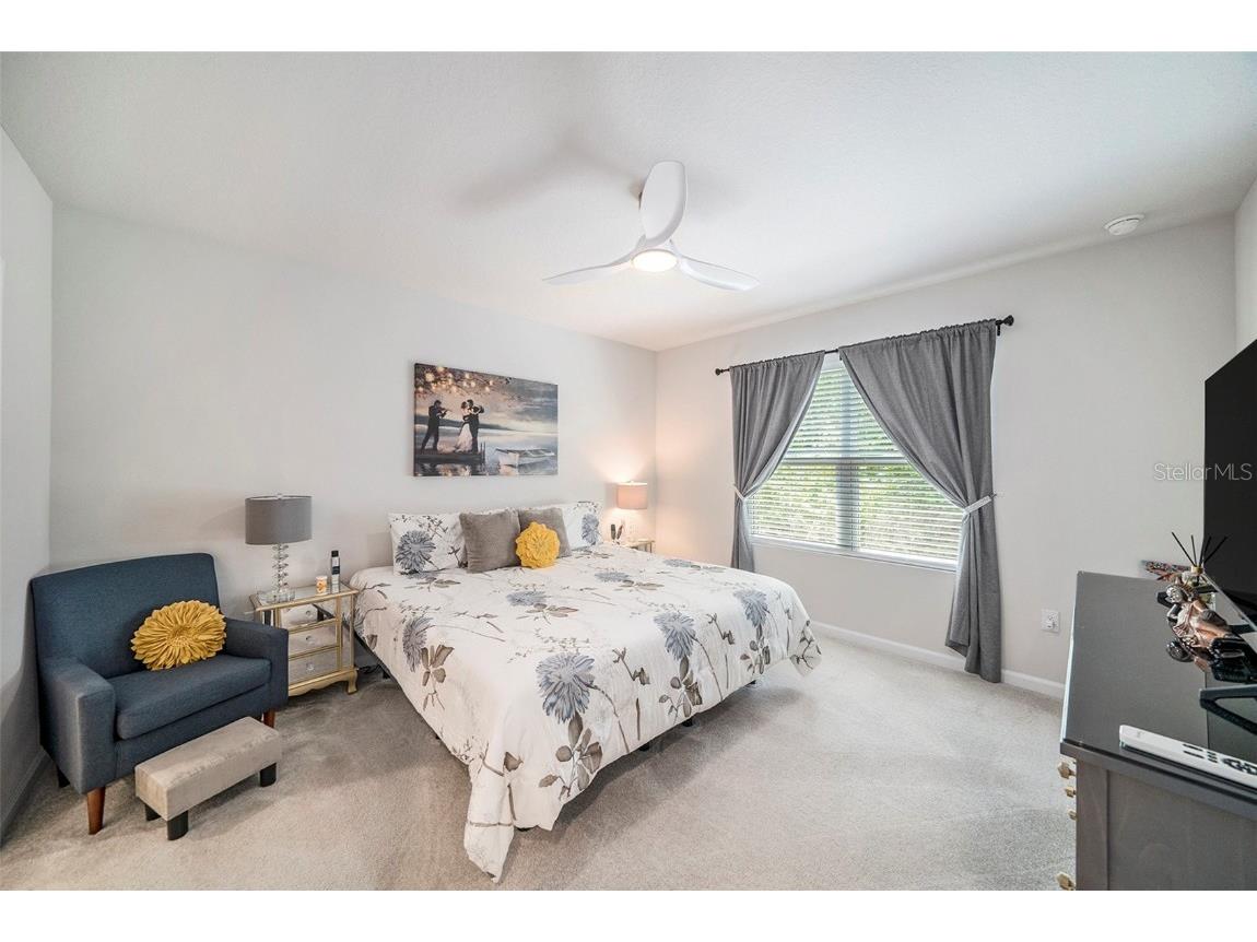 12264 Grizzly Lane New Port Richey FL 34654 TB8446260 image11