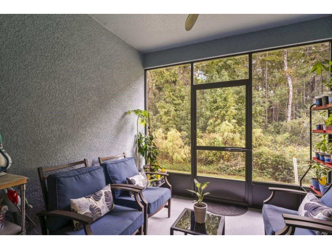 12264 Grizzly Lane New Port Richey FL 34654 TB8446260 image18