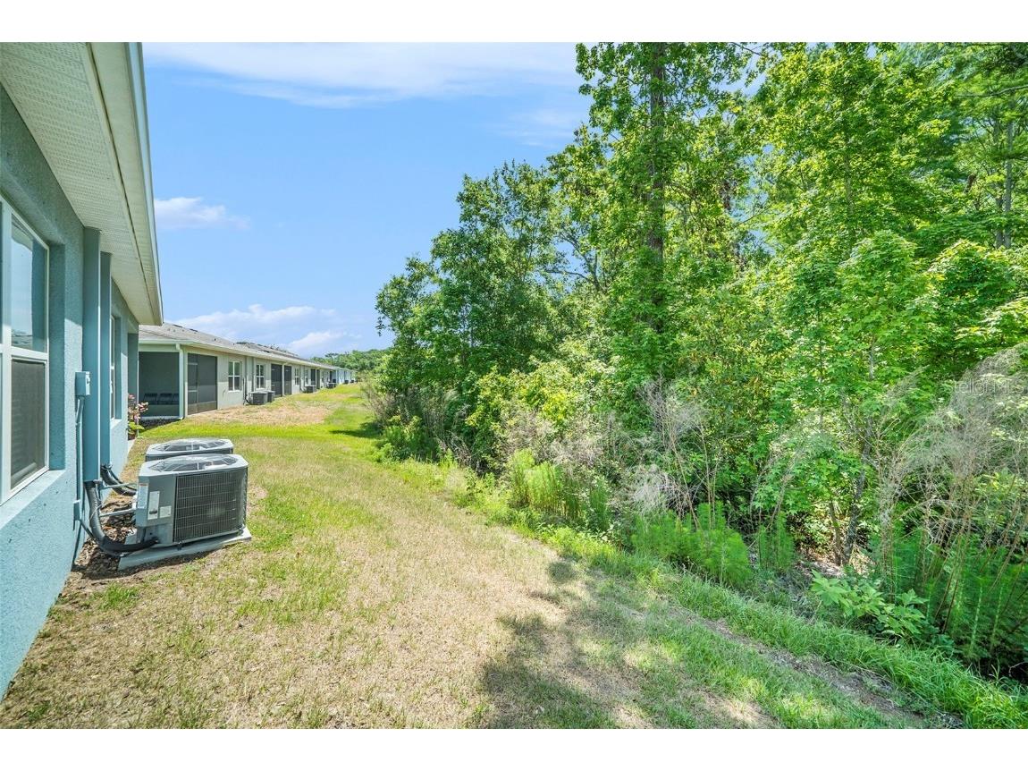 12264 Grizzly Lane New Port Richey FL 34654 TB8446260 image20