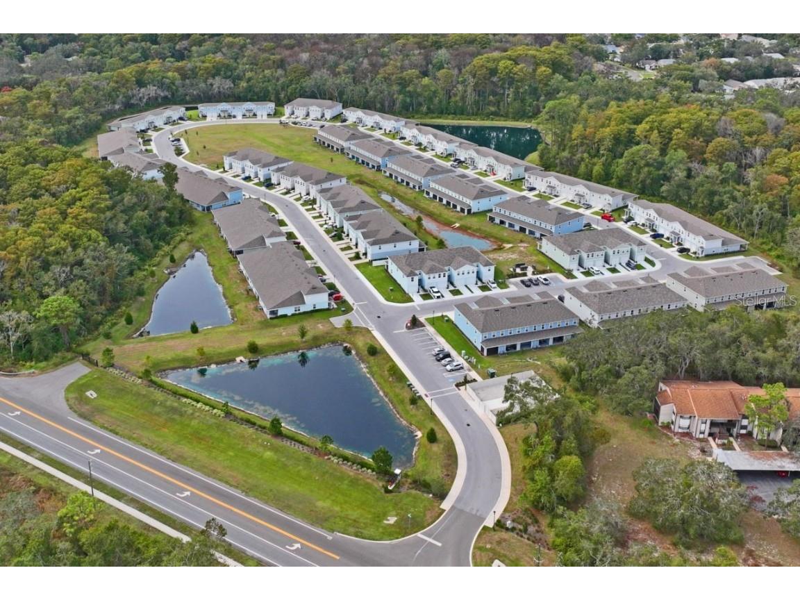 12264 Grizzly Lane New Port Richey FL 34654 TB8446260 image22