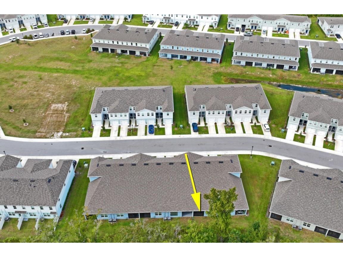 12264 Grizzly Lane New Port Richey FL 34654 TB8446260 image23