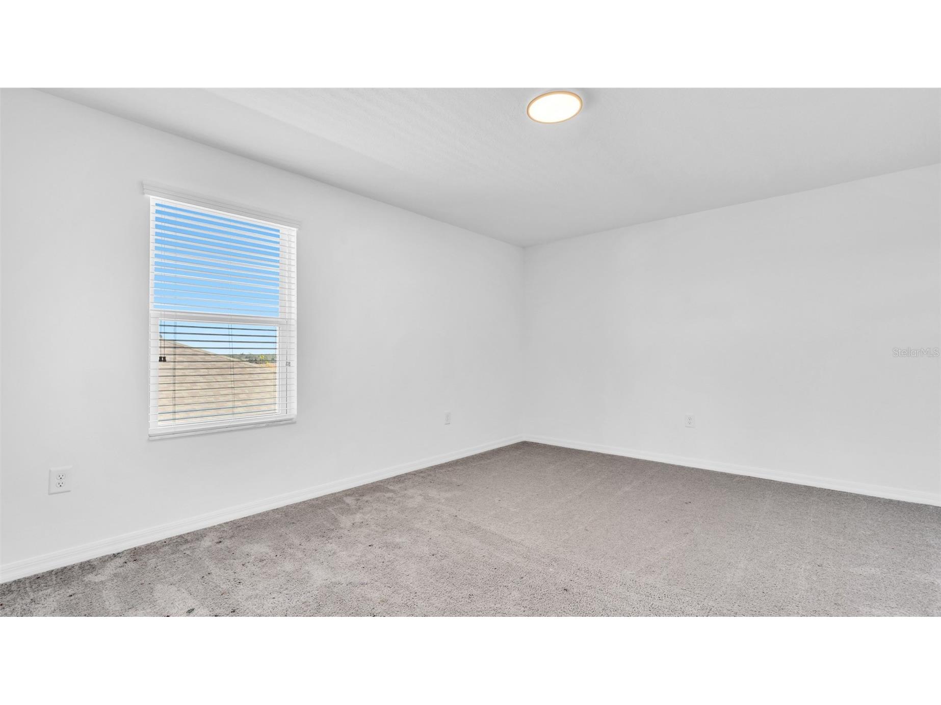 12264 Hilltop Farms Drive Dade City FL 33525 TB8463246 image53