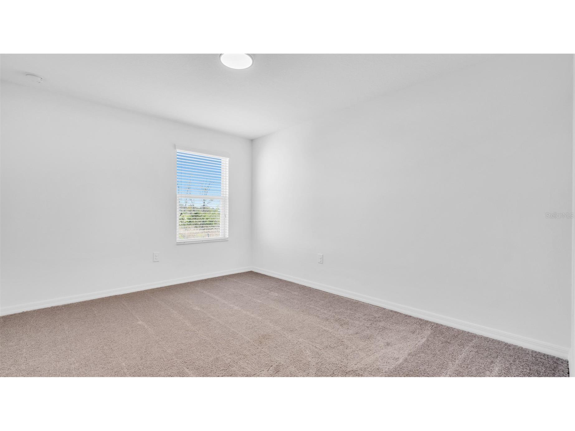 12264 Hilltop Farms Drive Dade City FL 33525 TB8463246 image60