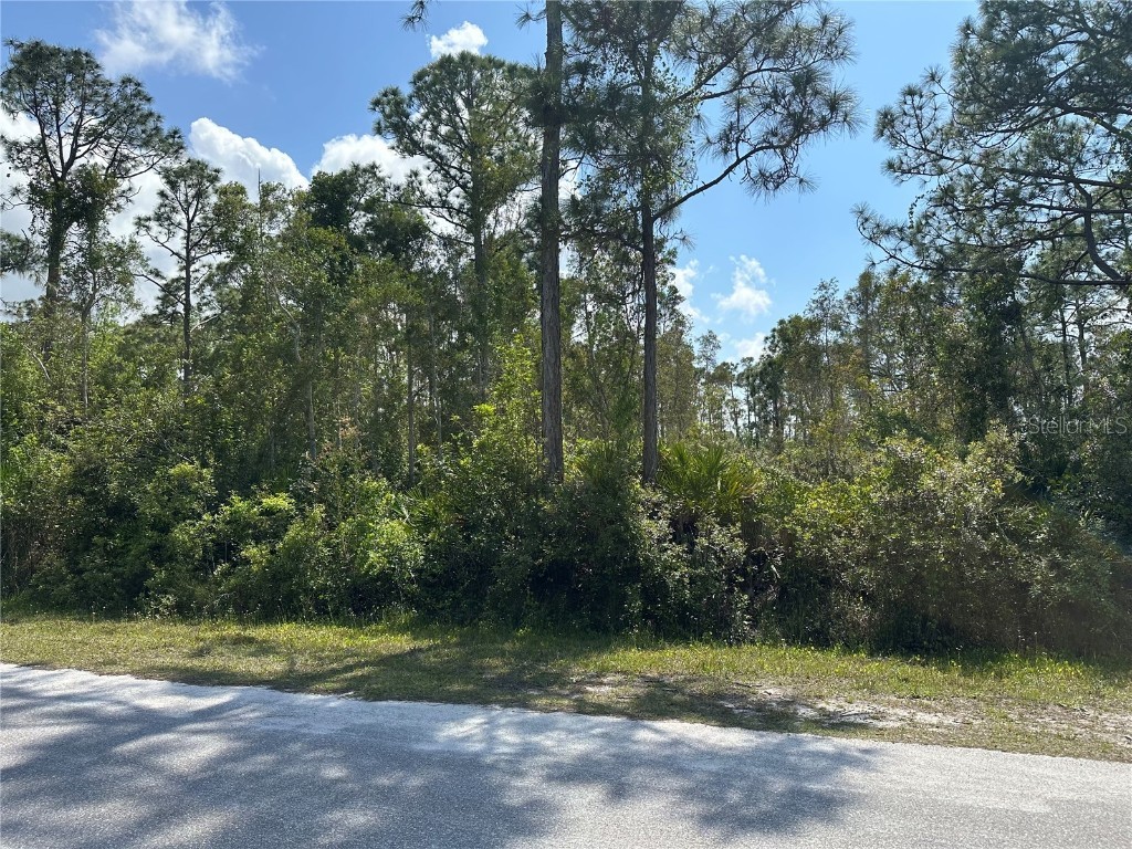 12265 Estrella Boulevard Punta Gorda FL 33955 C7489690 image1
