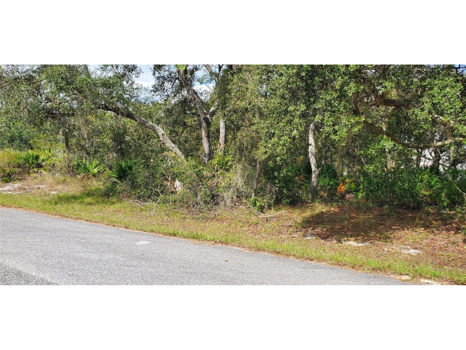 1227 Alafia Way Kissimmee FL 34759 S5137694 image3