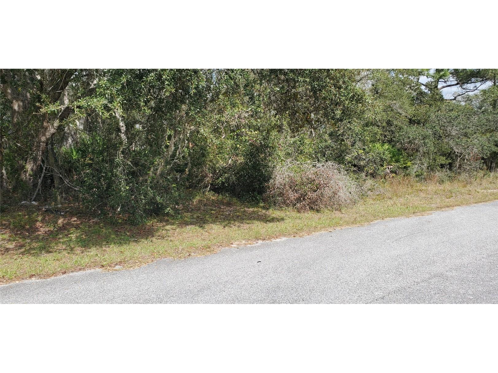 1227 Alafia Way Kissimmee FL 34759 S5137694 image4