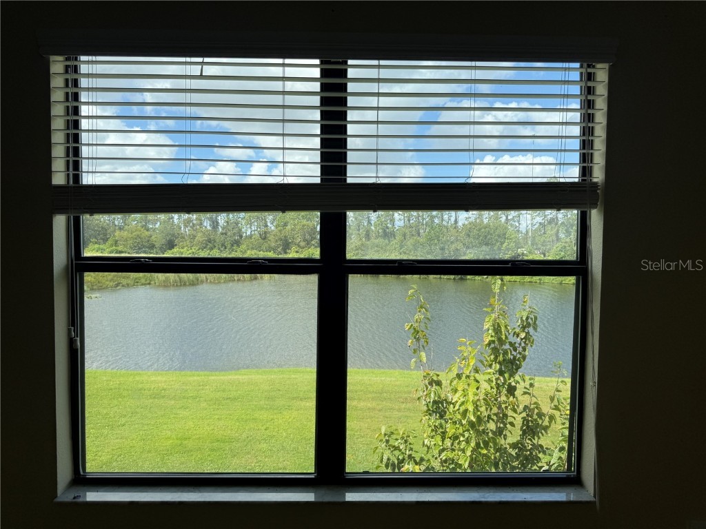 1227 Ballard Green Place Brandon FL 33511 TB8434911 image29