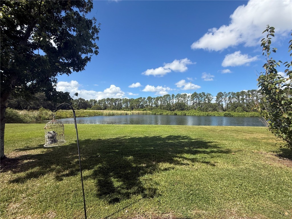 1227 Ballard Green Place Brandon FL 33511 TB8434911 image36