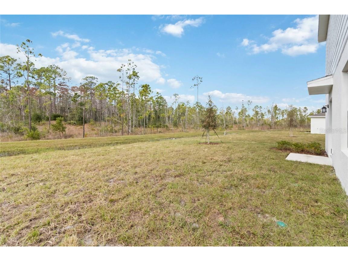 1227 Belle Isle Lane Daytona Beach FL 32124 O6360982 image38