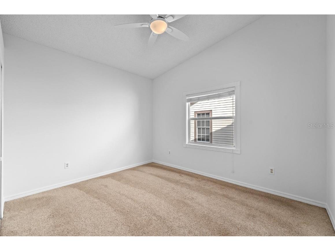 1227 Clays Trail Oldsmar FL 34677 TB8454542 image19