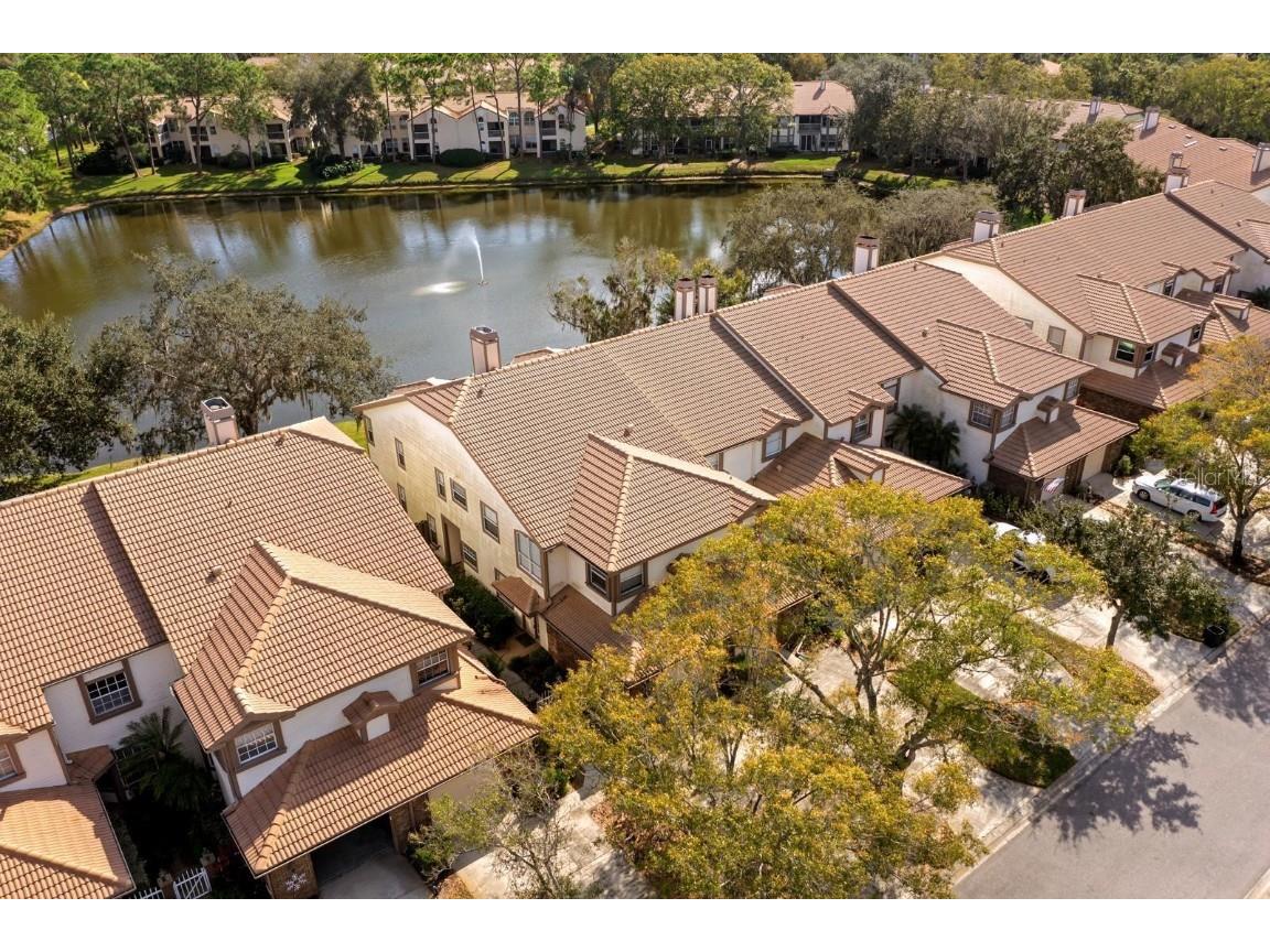 1227 Clays Trail Oldsmar FL 34677 TB8454542 image27