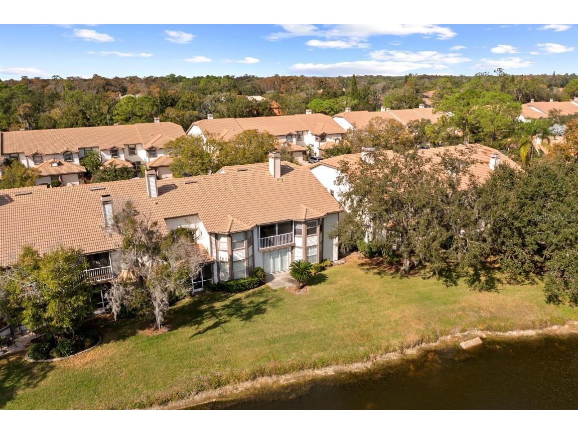 1227 Clays Trail Oldsmar FL 34677 TB8454542 image28