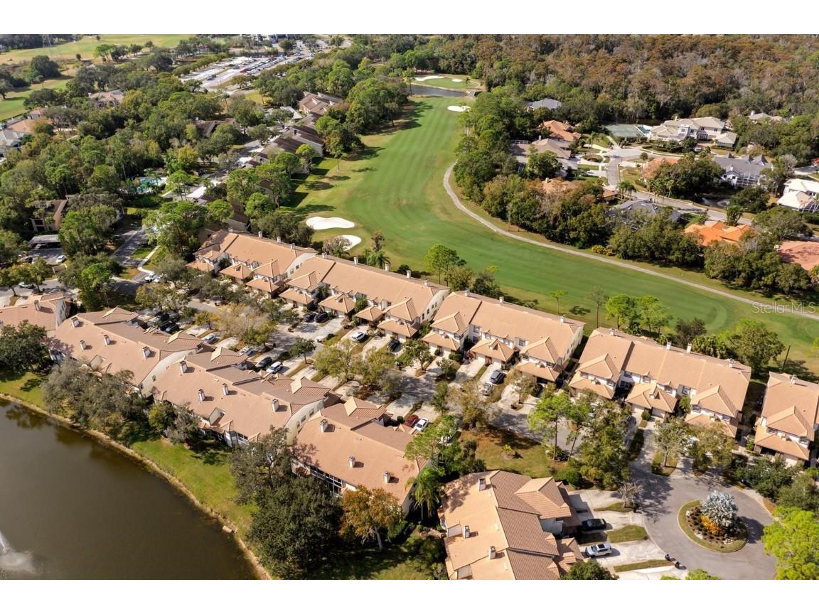 1227 Clays Trail Oldsmar FL 34677 TB8454542 image29