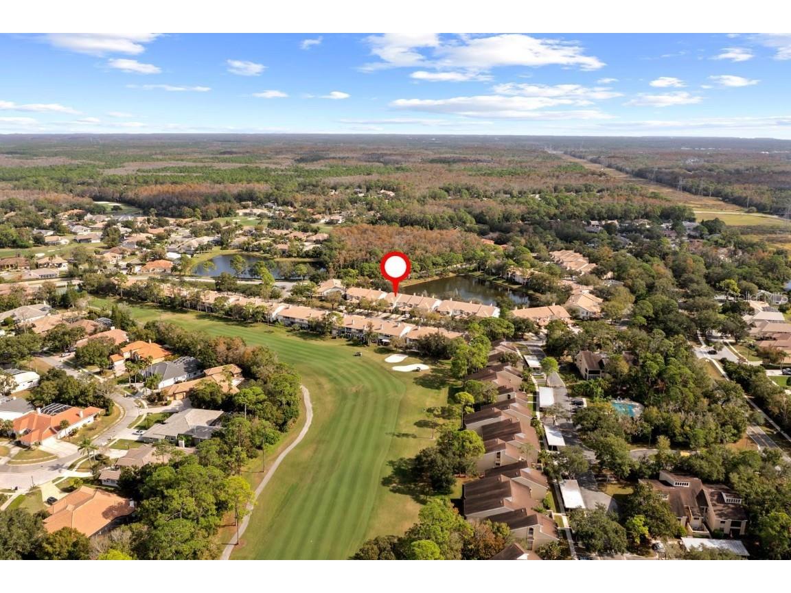 1227 Clays Trail Oldsmar FL 34677 TB8454542 image30