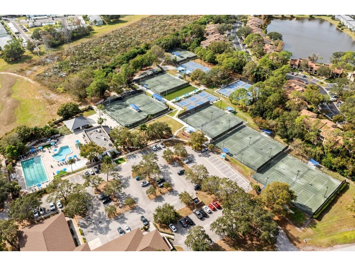 1227 Clays Trail Oldsmar FL 34677 TB8454542 image32
