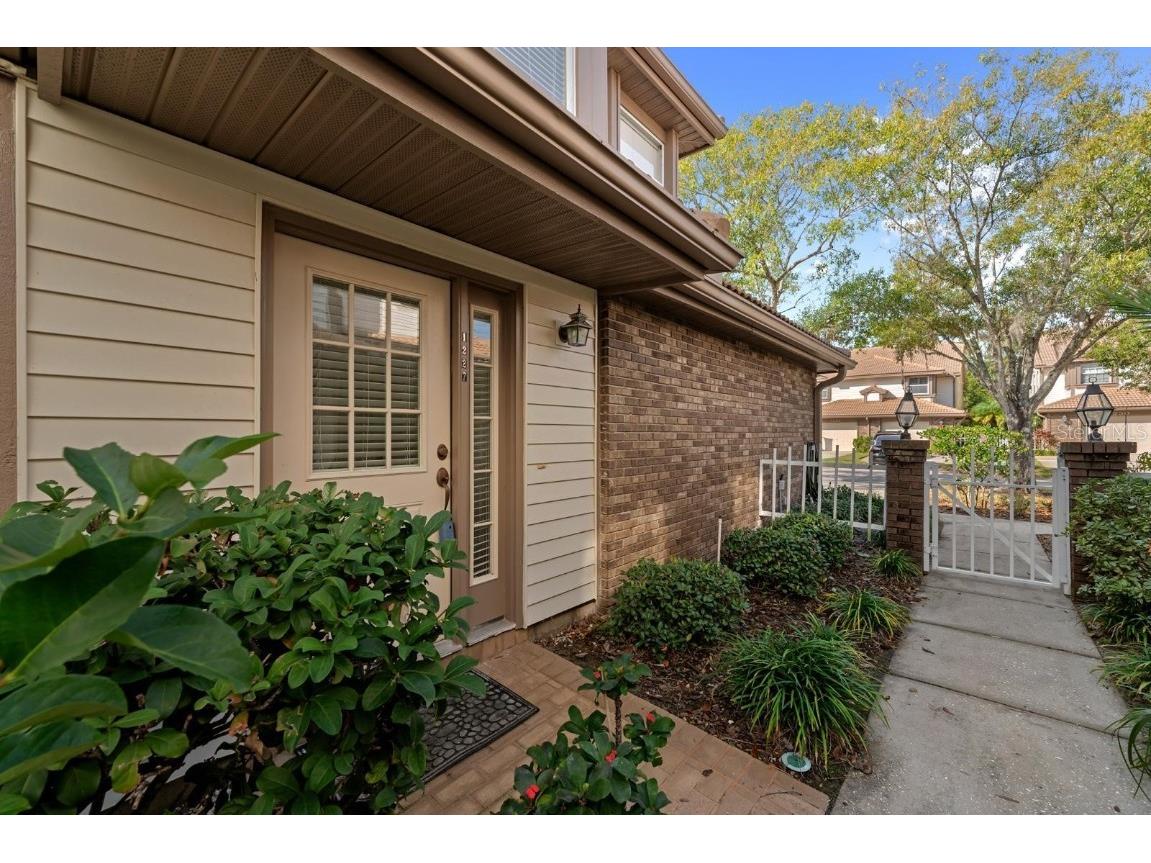 1227 Clays Trail Oldsmar FL 34677 TB8454542 image6