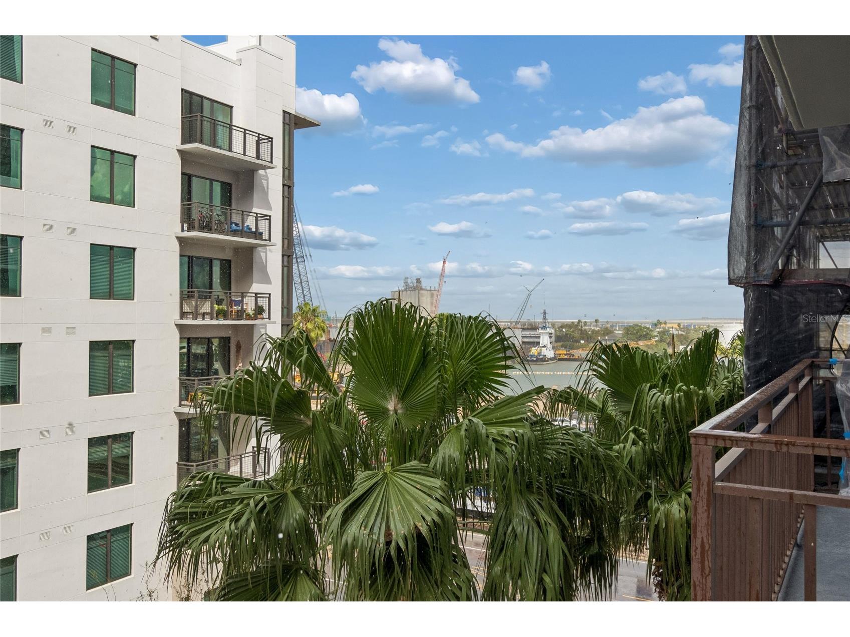 1227 E Madison Street #503 Tampa FL 33602 TB8482775 image2