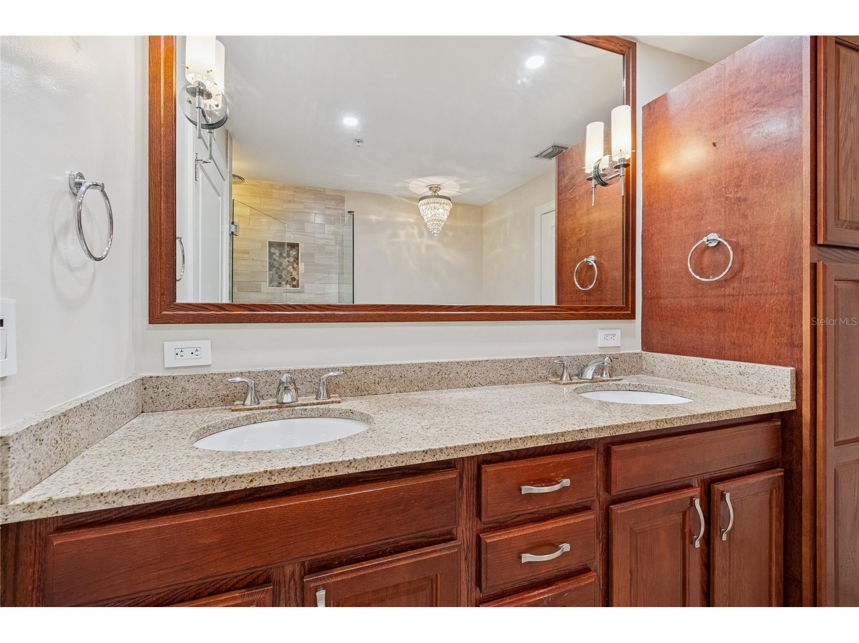 1227 E Madison Street #503 Tampa FL 33602 TB8482775 image47