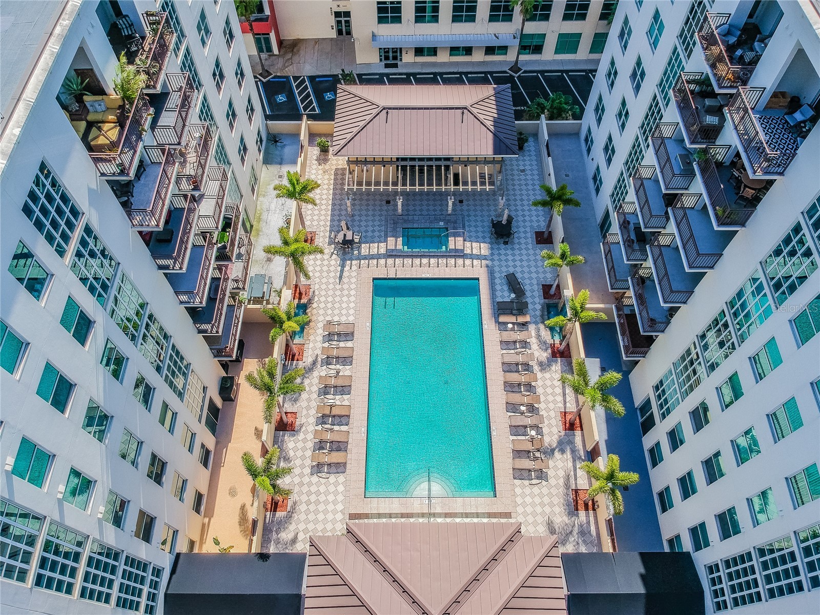 1227 E Madison Street #503 Tampa FL 33602 TB8482775 image67